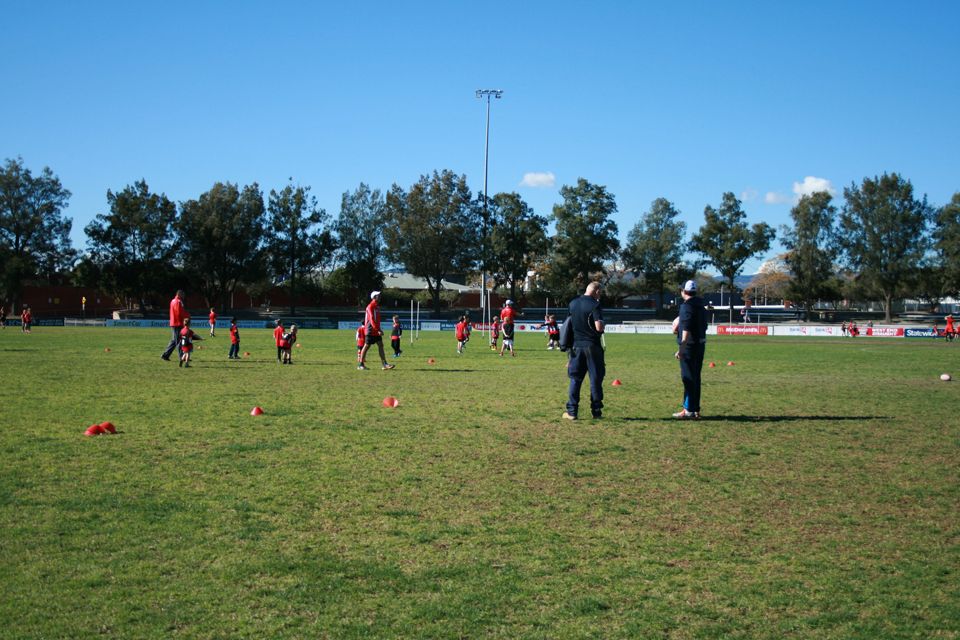 The Official North Adelaide Football Club site The Roosters